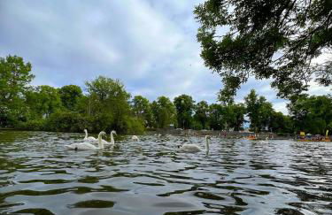 Elegant Windsor Flat - Short Walk to Windsor Castle, River Thames & Train Station - Foto 32