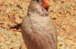 Vientos y Mares - Foto 53