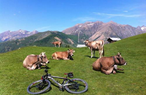 Appartement La Nicchia Vercana Comersee - Foto 27