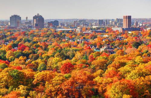 Cottage at Sunny Day - Foto 46