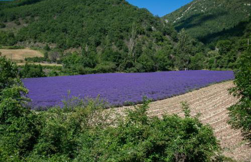 Le Portail d'Airain - Foto 43