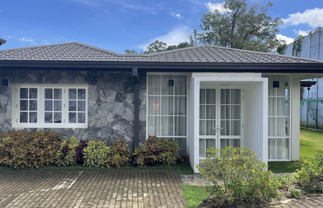 The Blossoms - Photo 32