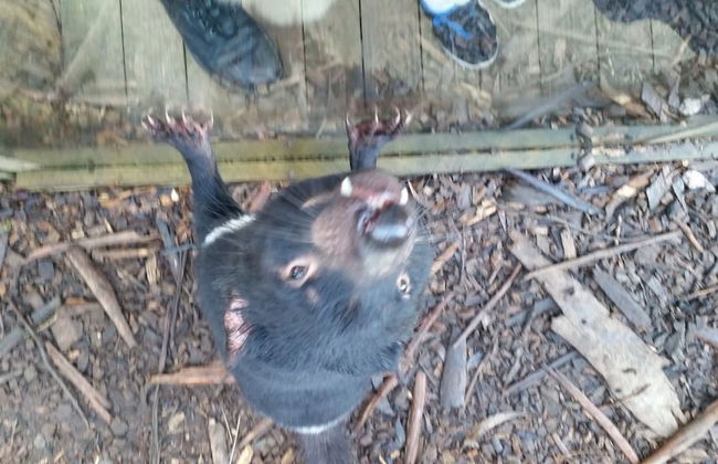 Four Seasons Waterfront Villas - Foto 32