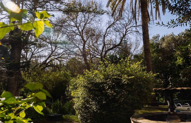 L'appartement du Palais - Foto 15