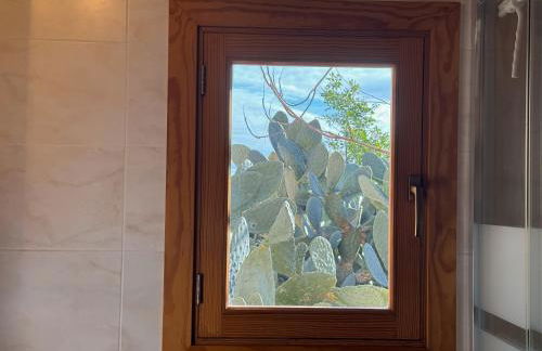 Ses Cases d'Alcudiola - Foto 29