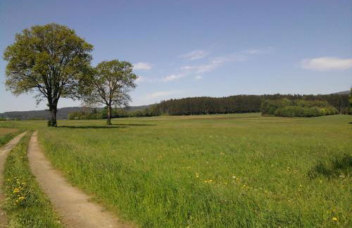 Ferienwohnungen Reitinger - Photo 17