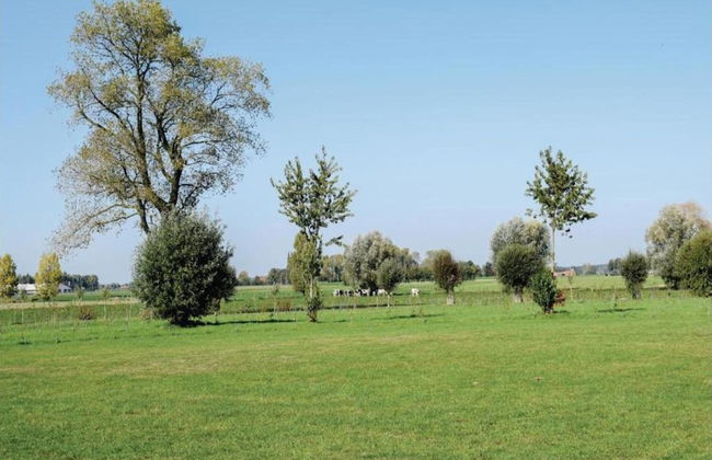 Family Home With Garden - Photo 30