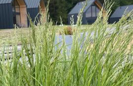 Bocianie Gniazdo w Rabce - Foto 31