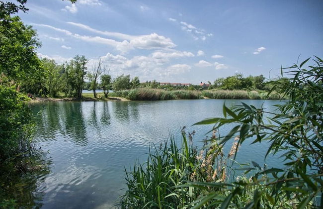 Dresdner-Tag Rosenherz - Foto 24