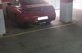 EsteponaCies - Photo 33