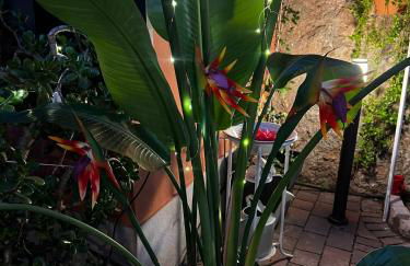 Very nice flat in Lerici 5 terre Villa Aurora in centro con parcheggio - Photo 25