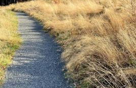 Taylor Way - Superb Apartment with Living Room and Private Gated Parking - Foto 29