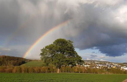 Ferienhaus Andrea Höcherl - Foto 9