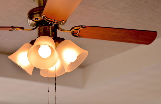 Purple House - Foto 13