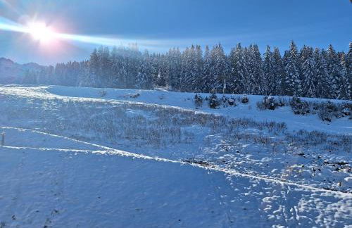 Les 7 laux immobilier chalet F - Foto 65