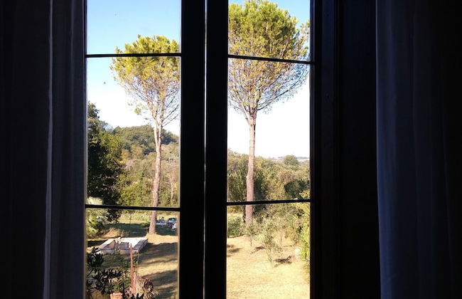 Baduerughe - Foto 31