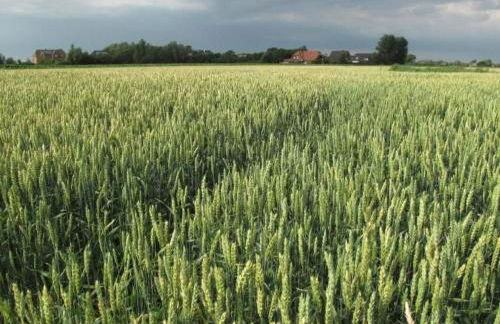 Apartment Pellworm by Interhome - Photo 28