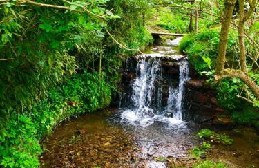 Intero alloggio campagna Lucca - Foto 58