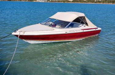 Orange Tree - Foto 49