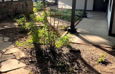 GetAways at Park Regency Resort - Photo 16