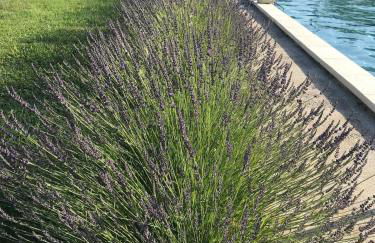 Ferme Redouline - 3 Bedroom, large private pool - Foto 12