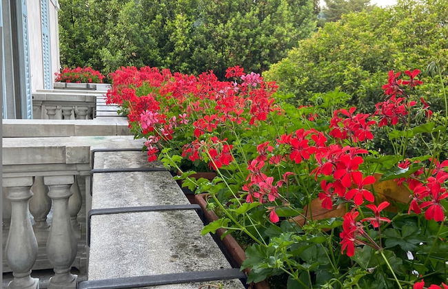 Villa Dell Artista by Elite Villas - Foto 58