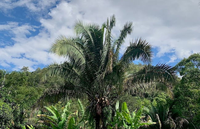 Pousada Chapada dos Veadeiros - Foto 49