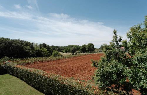 Villa De Marchi - Foto 44