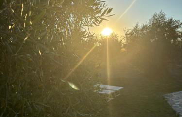 Agriturismo La Locandiera - Foto 69