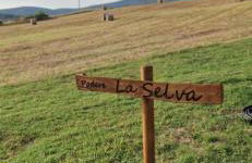 Podere La Selva - Foto 22