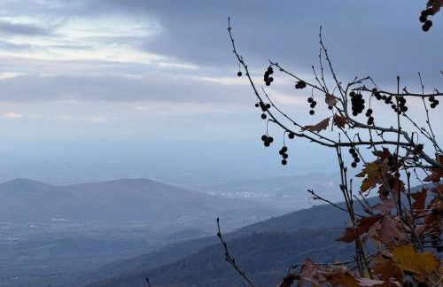 Nature Paradise Apartment - Photo 27