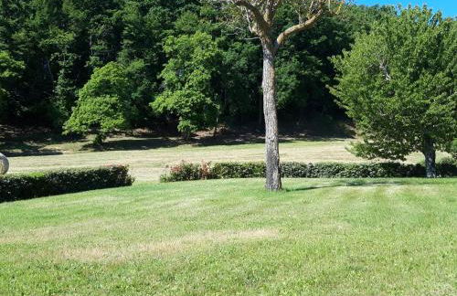 Castellare - Foto 74