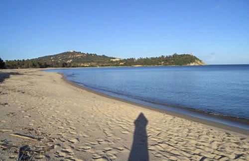 Mussilimbrosu - Photo 14