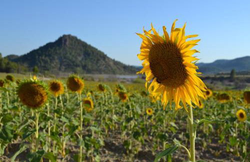 Las Casas de la Vega - Foto 35