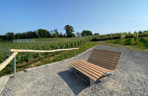 3 Zimmer Whg Reblandliebe, Nähe Europapark, Straßburg, Weinberge - Foto 15