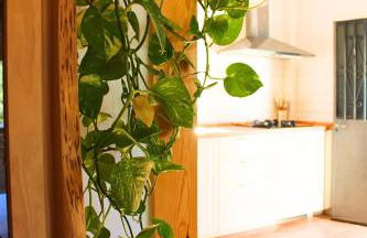 Casa Rural El Membrillo by SIERRA VIVA - Foto 14