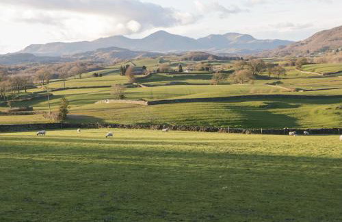 Mollys Pantry - Foto 27