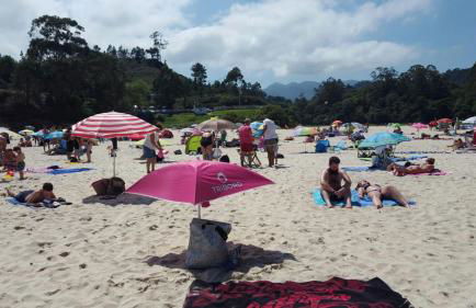 VIVIENDAS DE USO TURÍSTICO La Arboleda I y II - Foto 31