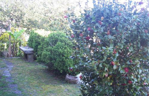 CASA PAREDES - RÍAS BAJAS - Photo 9