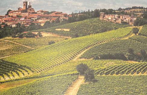 Ampio Appartamento con vista lago, sauna e camino Golf club Margara - Foto 30