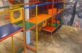 Apbananeiras - Condomínio Sonhos da Serra - Photo 11