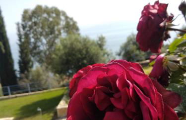 Hotel Theasis - Foto 4