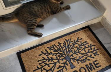 Olive Τree Ηouses - Foto 28