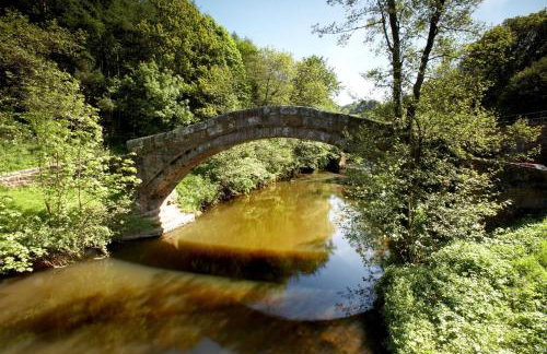 FernLea - Cosy bungalow and stunning country views - Photo 35