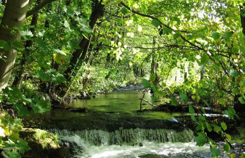 Ferienwohnung Moos-Hochsauerland - Foto 19