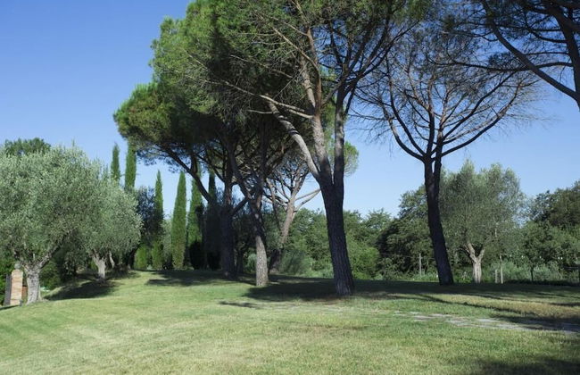 Casale degli Ulivi - Photo 48