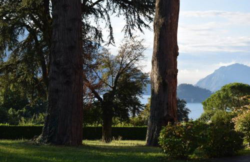 Landscapesilvia PT Terra - Foto 14