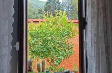 O Cantinho de Góis - Foto 4