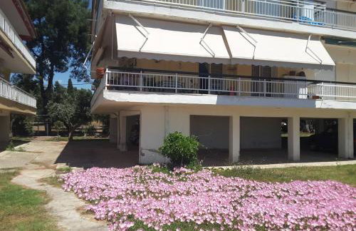 Metamorphosis - Halkidiki Apartment on the beach - Photo 6
