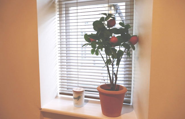 Immaculate 1-bed Cottage in Moreton in Marsh - Foto 18